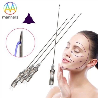 Aiguilles Fil PDO 30G Pour Sourcils